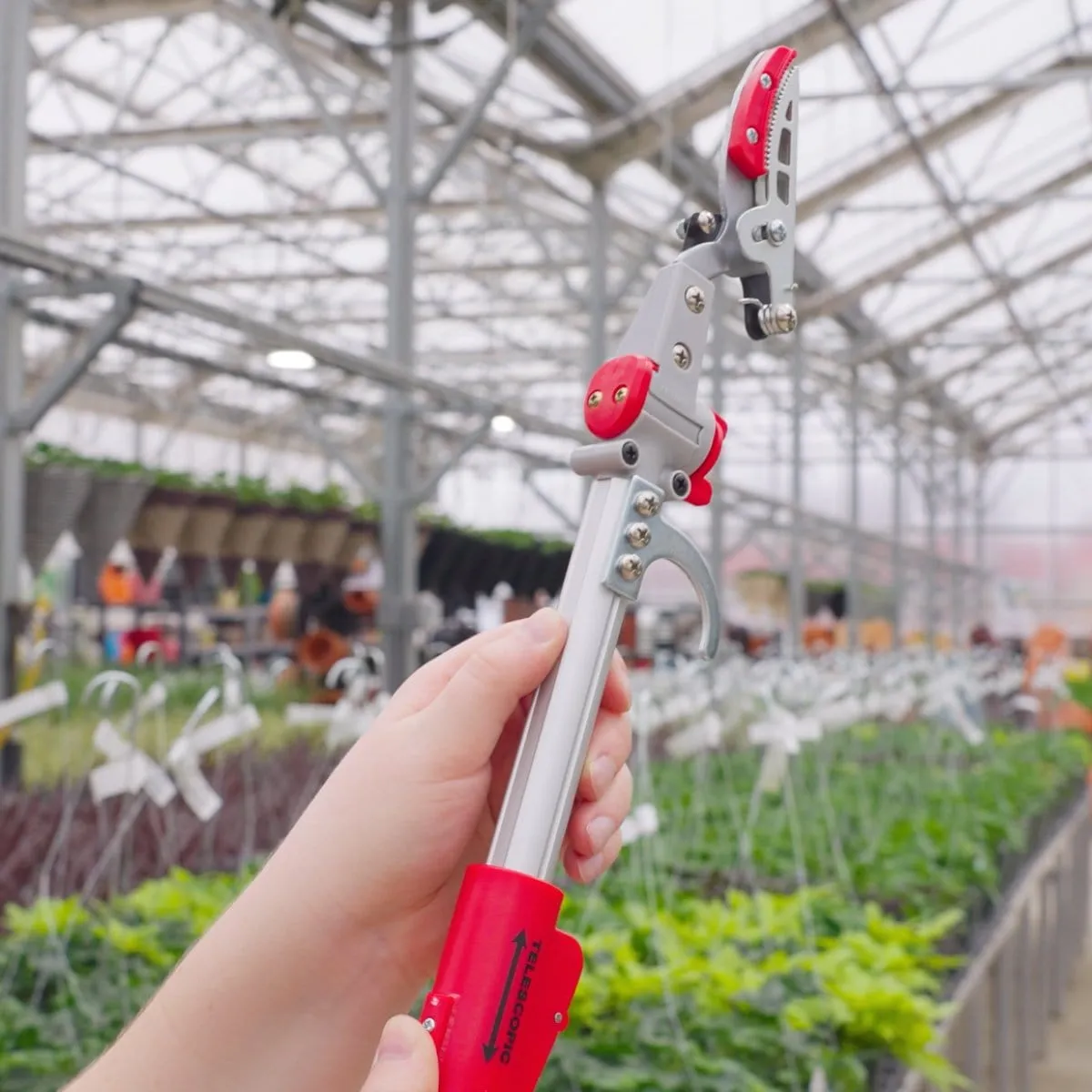 Gemplers Telescoping Long-Reach Cut-and-Hold Pruner