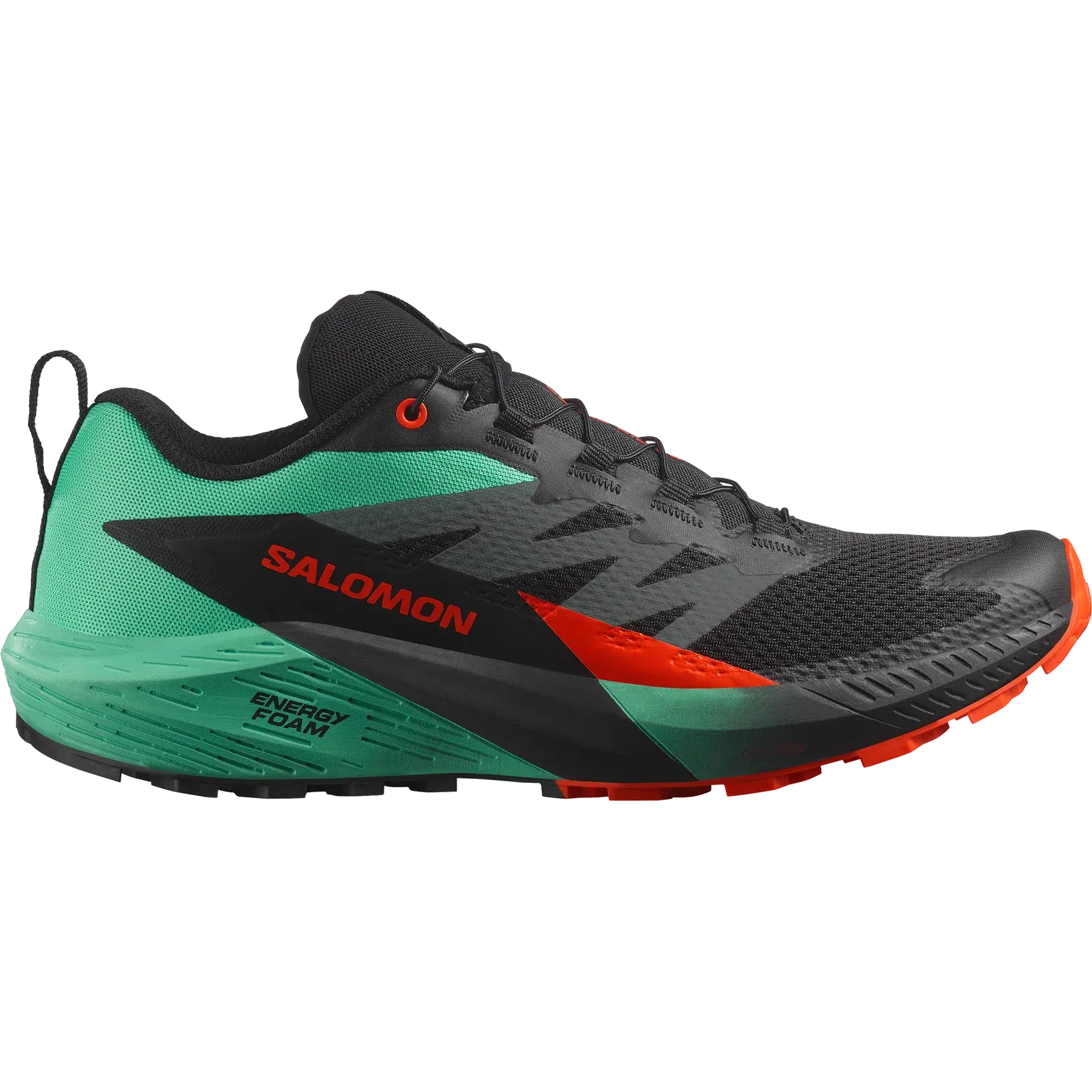 Salomon Sense Ride 5 Shoes (Men's)