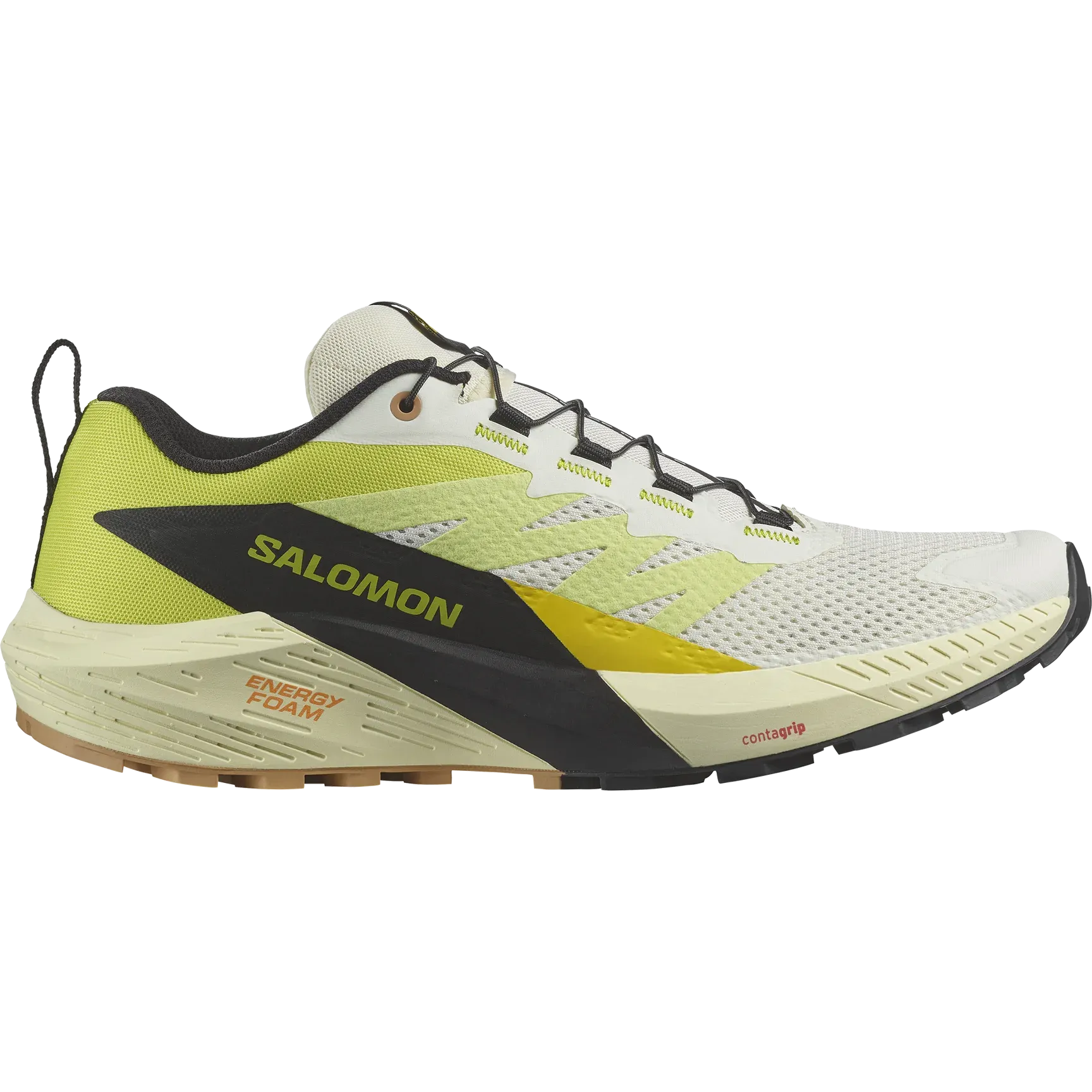 Salomon Sense Ride 5 Shoes (Men's)