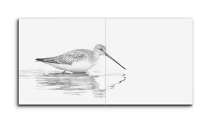 Serene Sandpiper in Grayscale Reflection